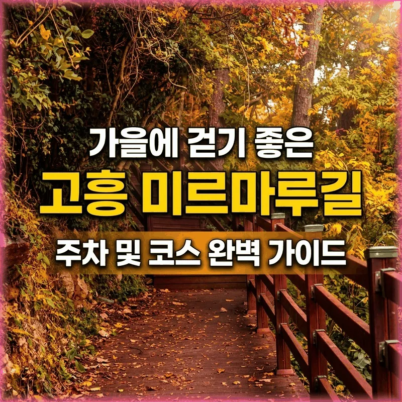 가을에 걷기 좋은 고흥 미르마루길 주차와 코스 총정리