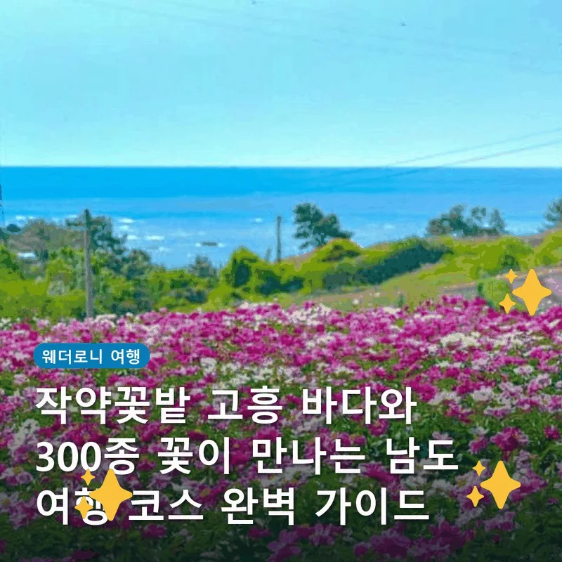 작약꽃밭 고흥 바다와 300종 꽃이 만나는 남도 여행 코스 완벽 가이드