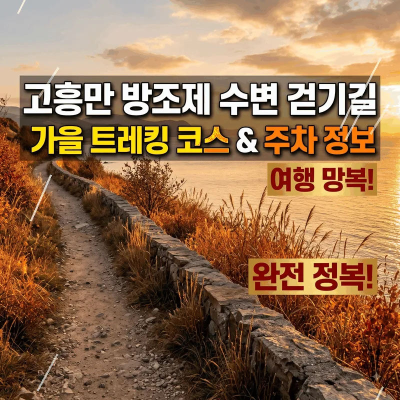 고흥만 방조제 수변 산책로 가을 등산 코스와 주차 정보 완벽 가이드