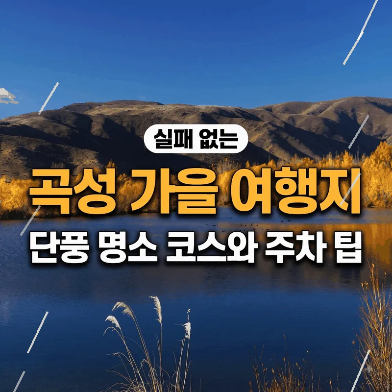 실패 없는 곡성 가을 여행지 단풍 명소 코스와 주차 팁