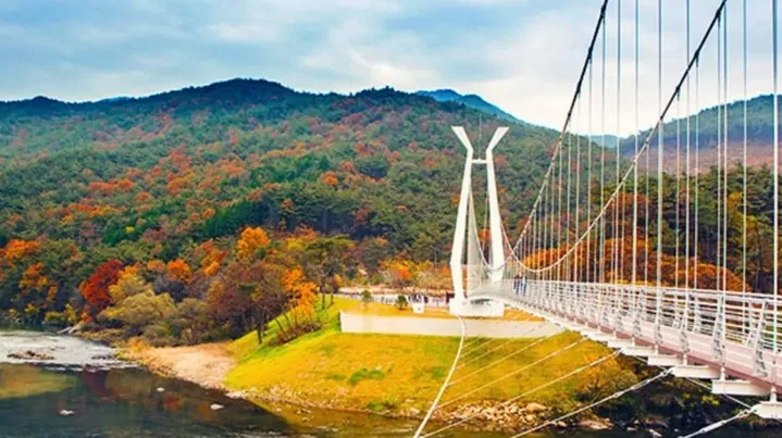 대황강 출렁다리 가을 / 사진=곡성 문화관광