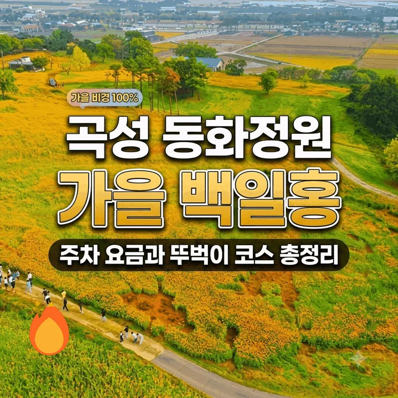 곡성 동화정원 가을 백일홍 주차 요금과 뚜벅이 코스 총정리