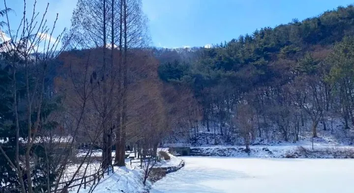 불장골저수지 겨울 풍경 / 사진=충청남도 공식 블로그 빌리브