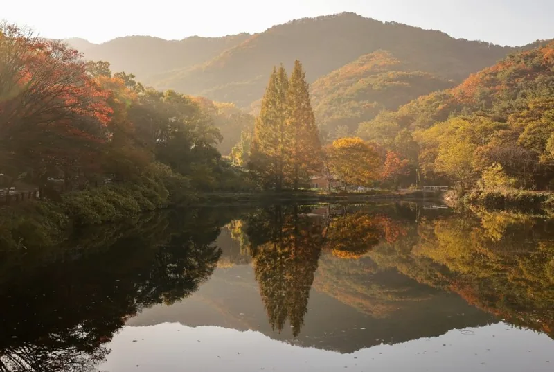 불장골 저수지 상세이미지5