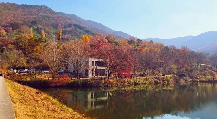 카페 엔학고레 사진=충청남도 공식 블로그 솔솔부는봄바람