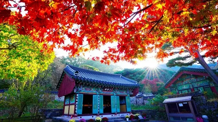 공주 갑사 단풍 / 사진=ⓒ한국관광공사 노희완