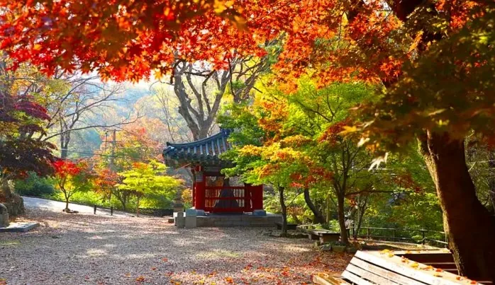 공주 갑사 가을 단풍 / 사진=충청남도 공식블로그 해송이송희