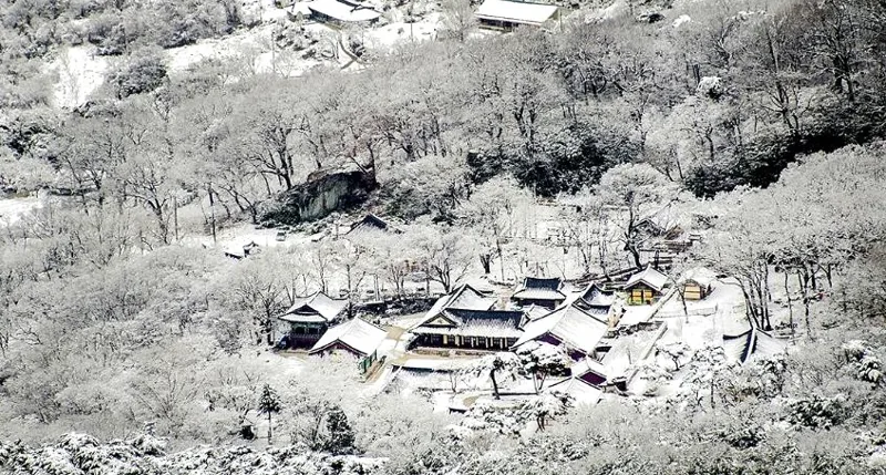 갑사(계룡산) 상세이미지2