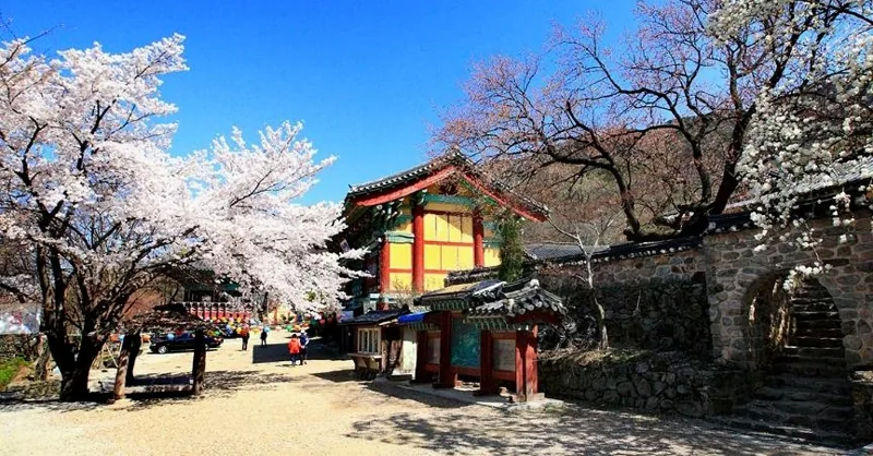 갑사(계룡산) 상세이미지4