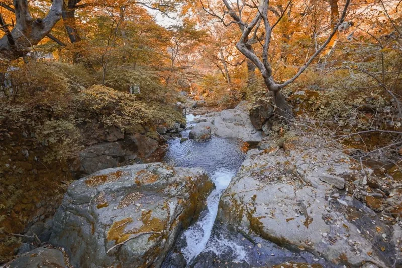 갑사(계룡산) 상세이미지7