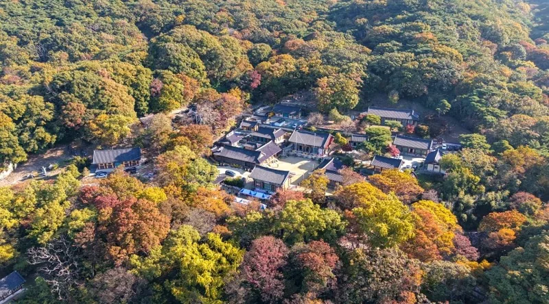 갑사(계룡산) 상세이미지8