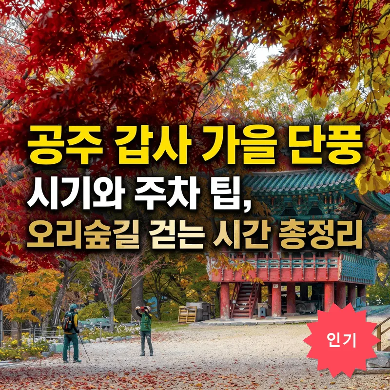 공주 갑사 가을 단풍 시기와 주차 팁, 오리숲길 걷는 시간 총정리