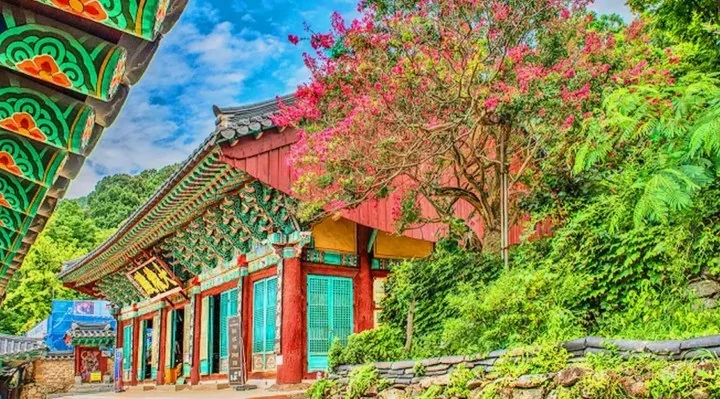 갑사 경내 모습 / 사진=계룡산 갑사