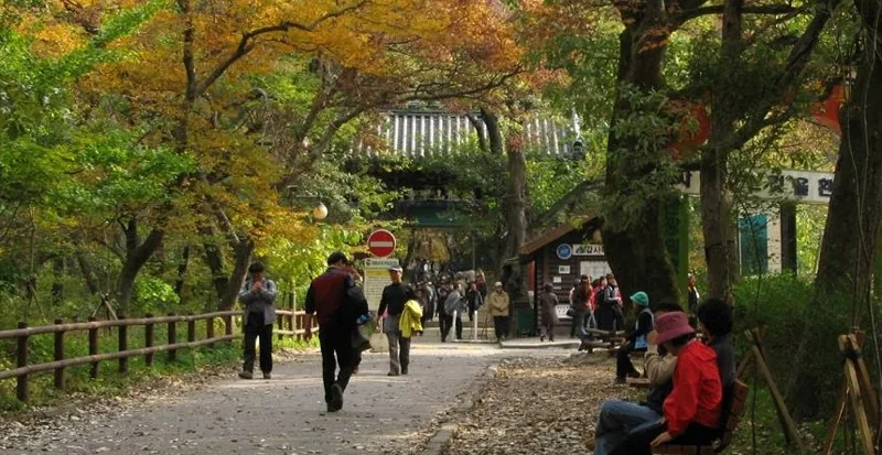 갑사(계룡산) 상세이미지5