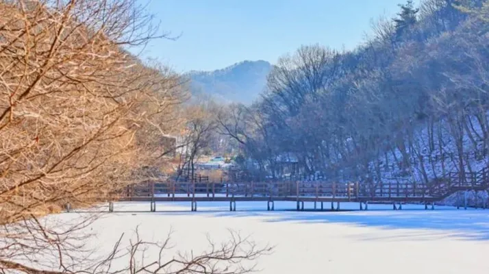 금학생태공원 겨울 / 사진=공주 공식 블로그 정다은