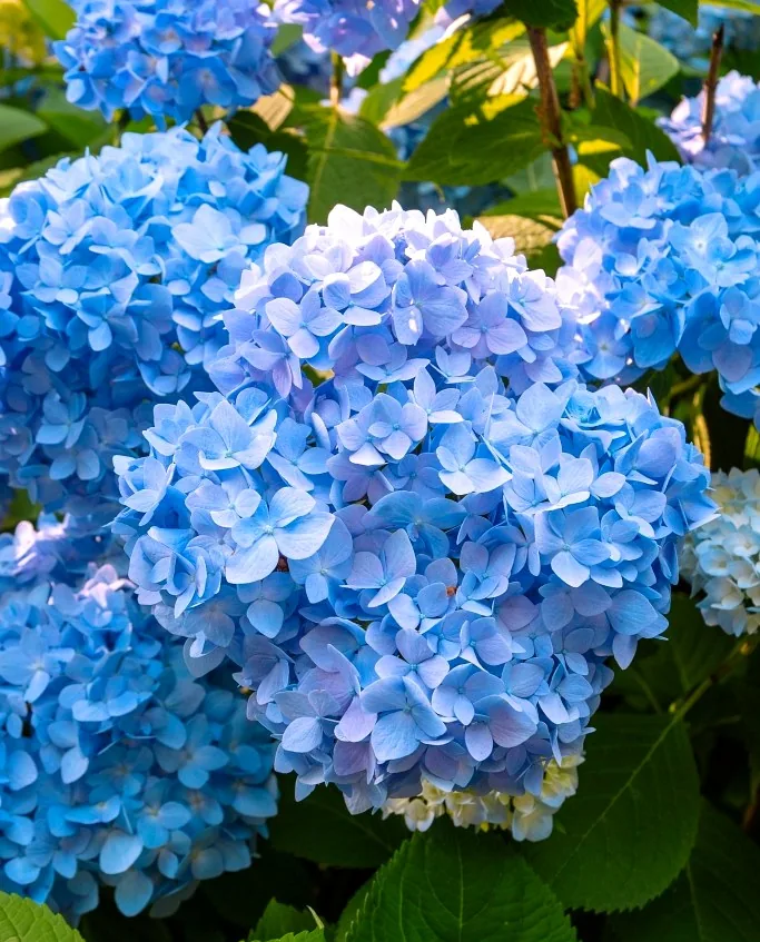 금학생태공원 상세이미지4