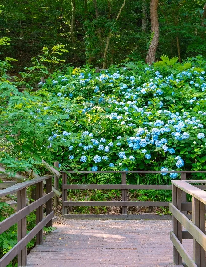 금학생태공원 상세이미지6