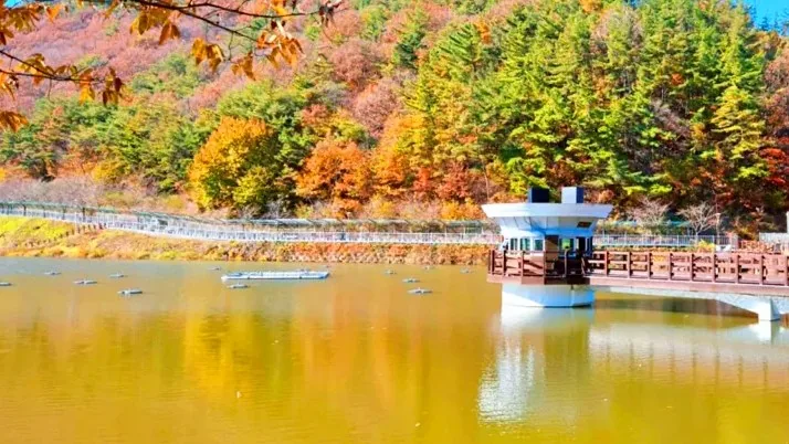 금학생태공원 / 사진=공주 공식 블로그 이주민