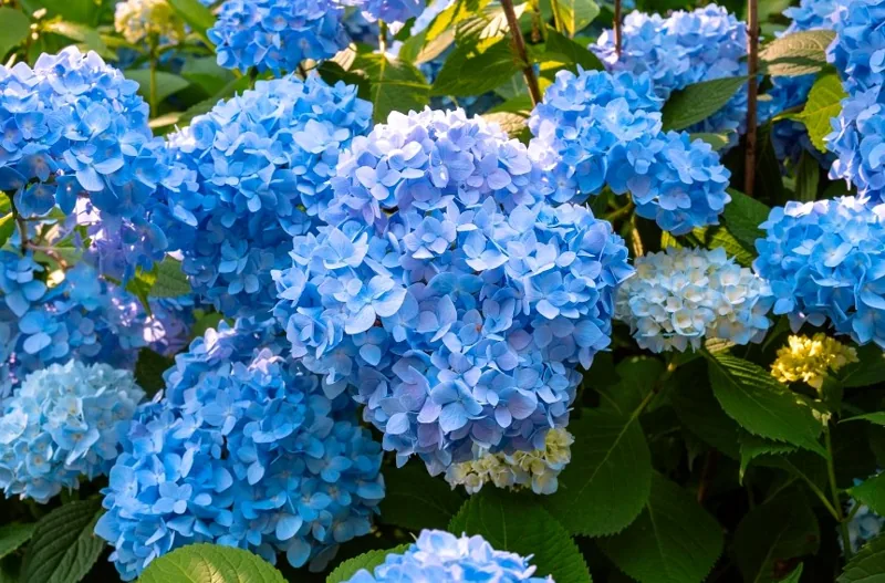 금학생태공원 상세이미지5