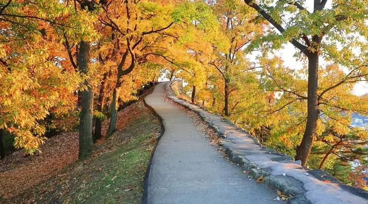공산성 산책로 / 사진=게티이미지뱅크