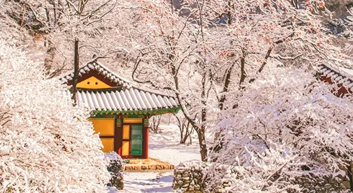 공주 신원사 설경 / 사진=계룡산 신원사 횸페이지