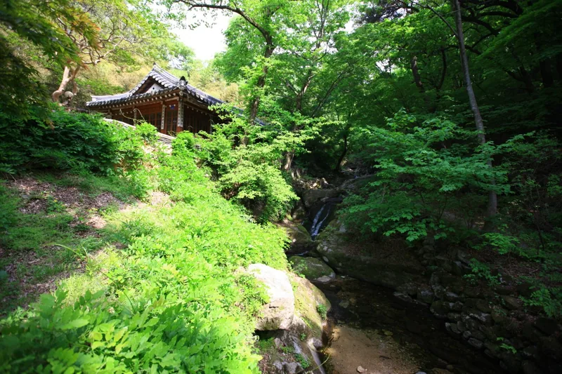 갑사계곡
