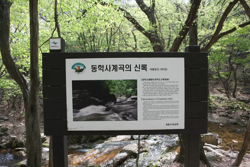 동학사계곡