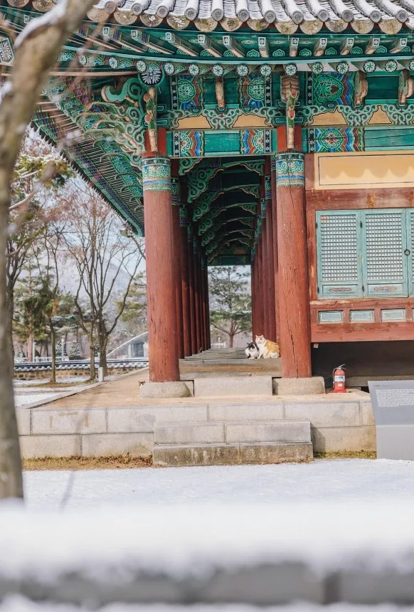 공주한옥마을 상세이미지11