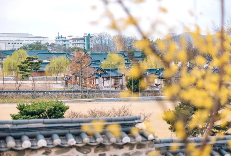 공주한옥마을 상세이미지2