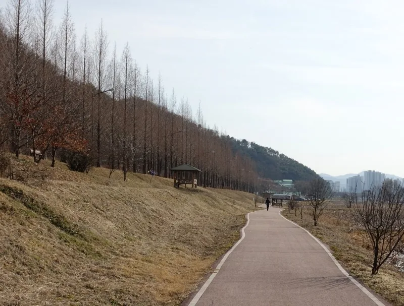 정안천생태공원 상세이미지4