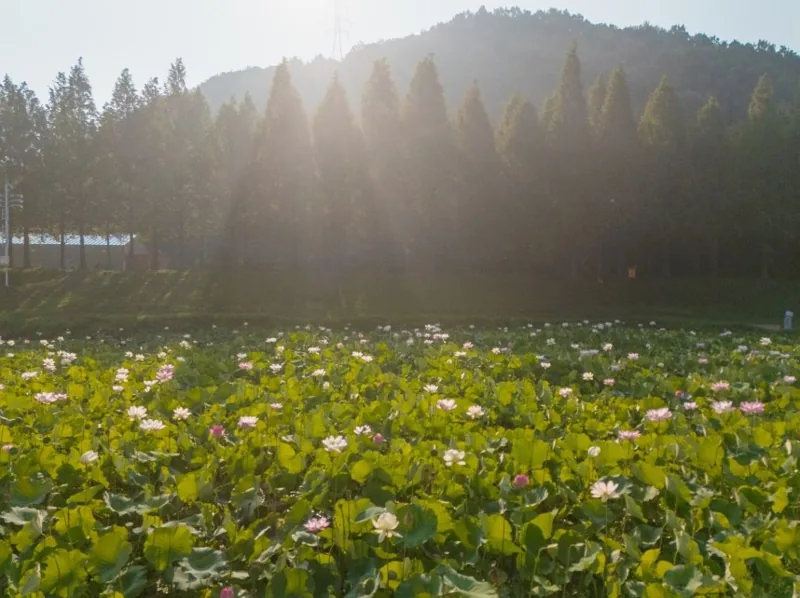정안천생태공원 상세이미지9