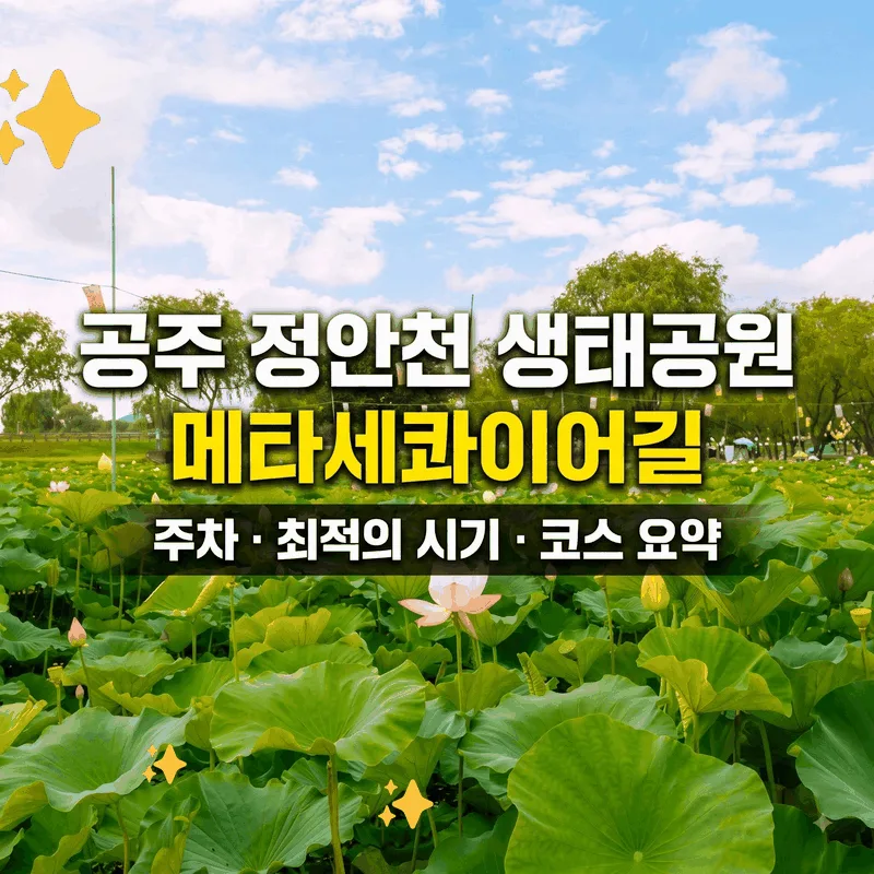 공주 정안천 생태공원 메타세쿼이아길 주차와 가기 좋은 시간 코스 정리