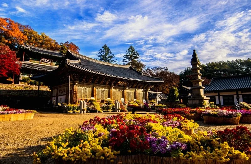 마곡사 유네스코 세계유산 상세이미지10