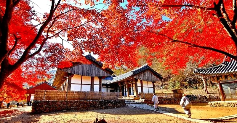 마곡사 유네스코 세계유산 상세이미지11