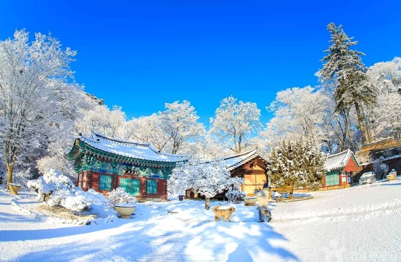 마곡사 유네스코 세계유산 상세이미지13