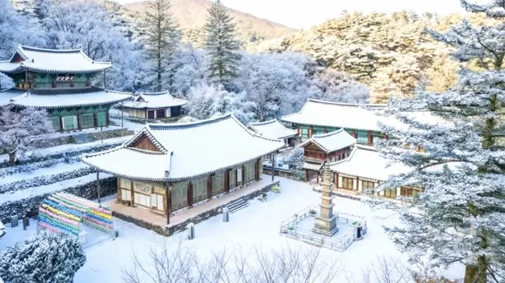 공주 마곡사 겨울 / 사진=국가유산청, AI