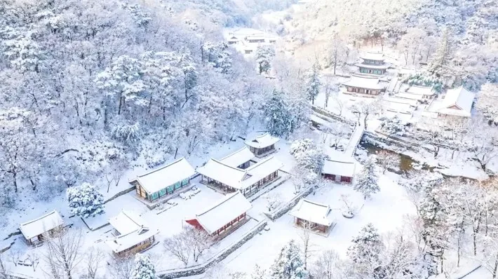 공주 마곡사 전경 / 사진=국가유산청, AI