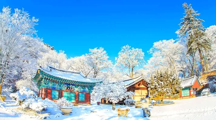 공주 마곡사 설경 / 사진=ⓒ한국관광공사 이중일