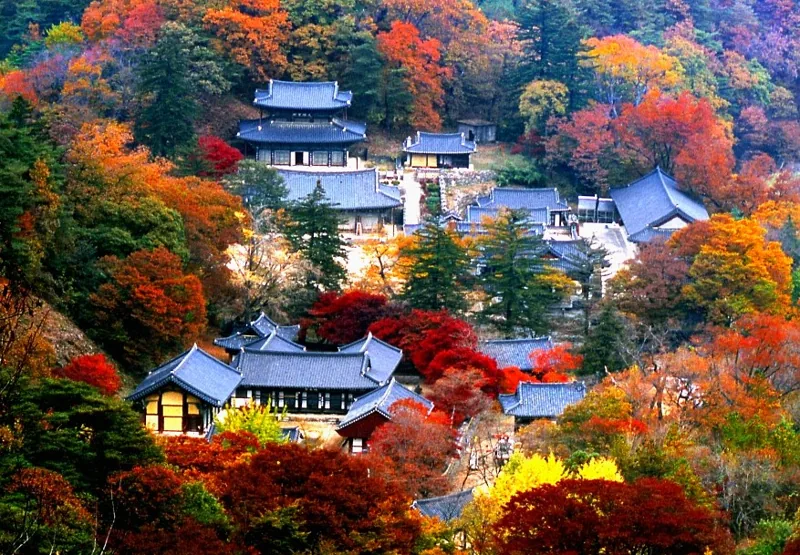 마곡사 유네스코 세계유산 상세이미지9