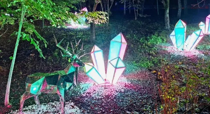대가야수목원 야경 / 사진=충청북도 공식 블로그