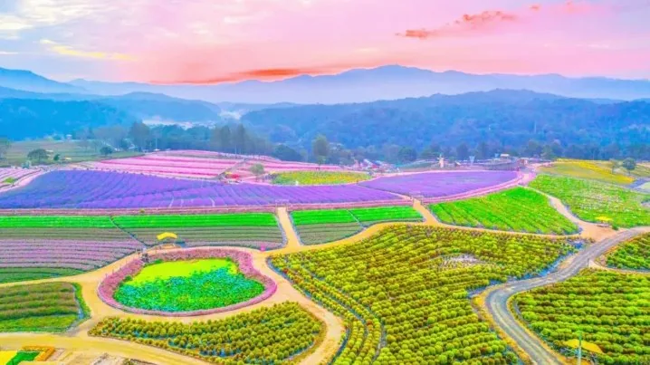 고석정 꽃밭 전경 / 사진=철원군 공식 블로그