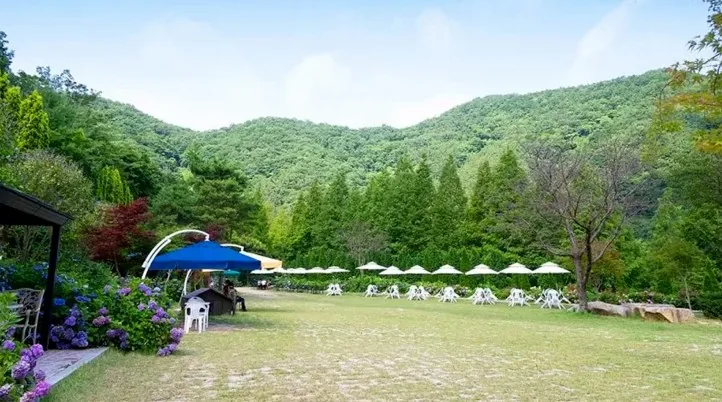 그레이스정원 잔디 광장 / 사진=그레이스정원