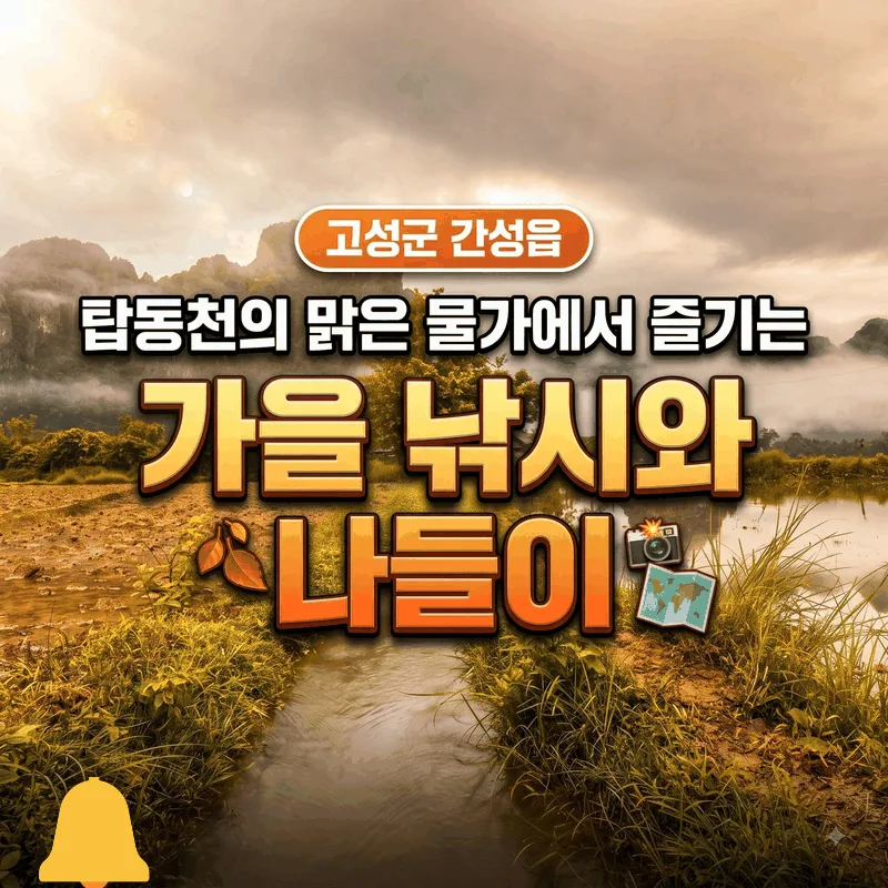 고성군 간성읍 탑동천 맑은 물가에서 즐기는 가을 낚시와 나들이