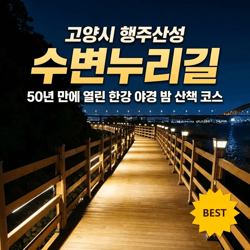 고양시 행주산성 수변누리길 50년 만에 열린 한강 야경 밤 산책 코스