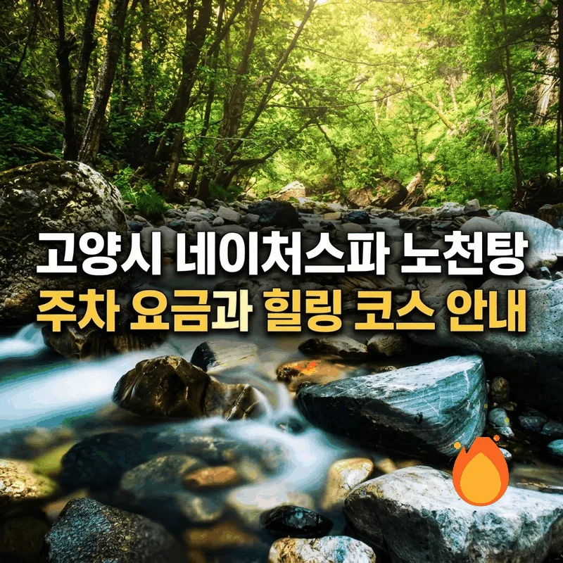 고양시 네이처스파 노천탕 주차 요금과 힐링 코스 안내