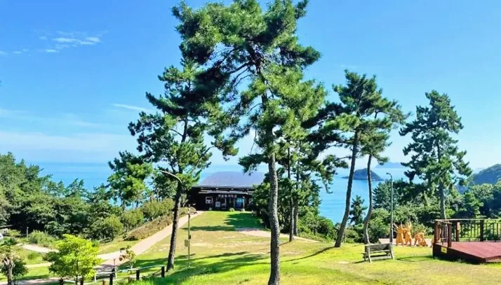 국립진도자연휴양림 / 사진=한국관광콘텐츠랩