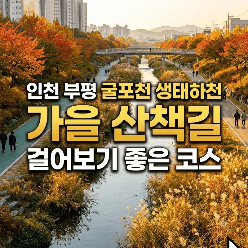 인천 부평 굴포천 생태하천 가을 산책길 걸어보기 좋은 코스