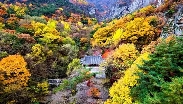 금오산 가을 전경 / 사진=구미시 문화관광
