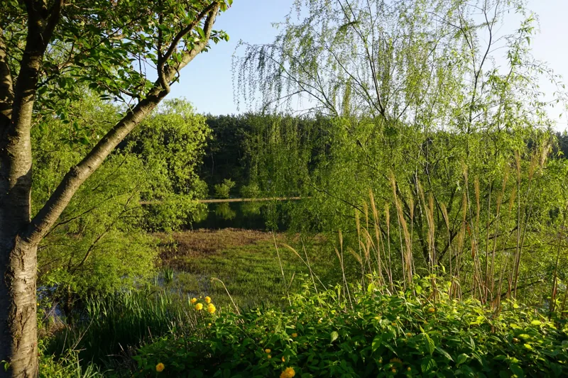 Eunpa Lake Trails