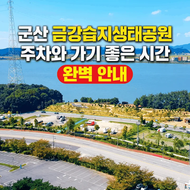 군산 금강습지생태공원 주차와 가기 좋은 시간 완벽 안내